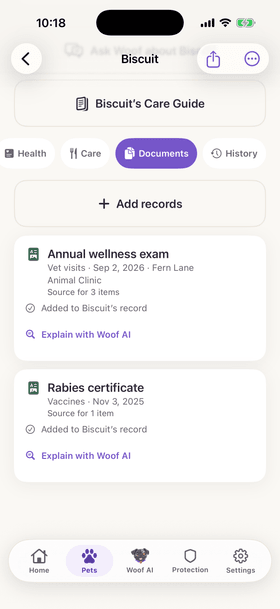 Biscuit’s documents: his annual wellness exam and his rabies certificate, each marked “Added to Biscuit’s record”, with a link to explain it.