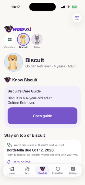 Woof AI for Biscuit: his Care Guide, and “Bordetella due Oct 12, 2026, worth booking with your vet”.