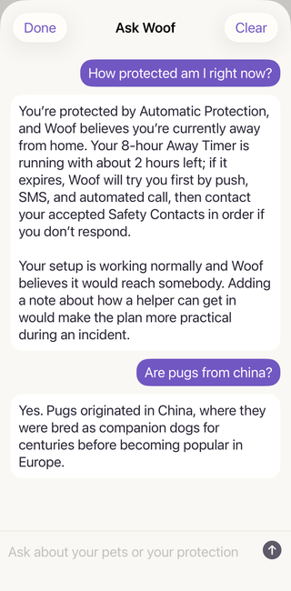 The real Ask Woof screen. Asked “How protected am I right now?”, it answers with the member’s own setup: Automatic Protection, the 8-hour Away Timer with about 2 hours left, and who Woof would contact. Asked “Are pugs from China?”, it answers that too.